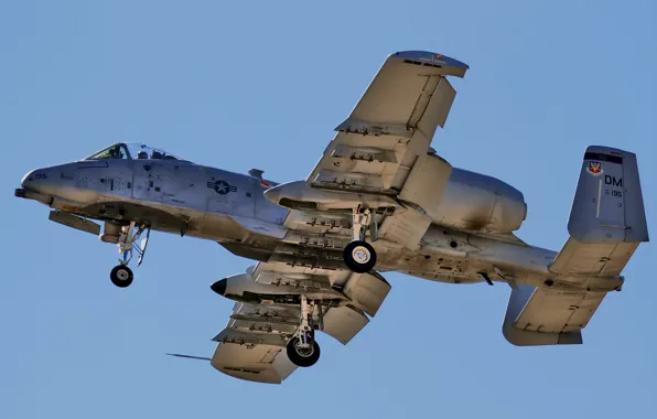 Weapons, the plane, A-10 Thunderbolt