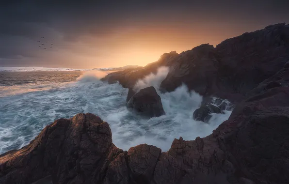 Picture Sunset, Nature, Wave, Surf, Birds, Boulders, Alexander Dudarev, The coast of the Barents Sea