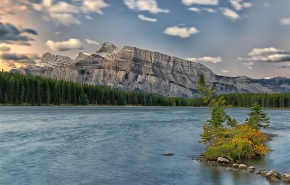 Picture forest, mountains, lake, Canada, Albert, Banff National Park, Alberta, Canada
