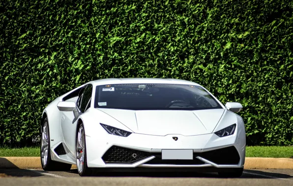 Lamborghini, white, 2014, Huracan, LP610