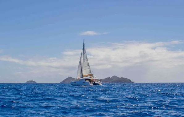 Picture sea, yacht, sail