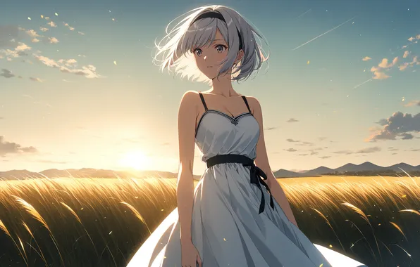 Field, girl, the sun, anime, girl, field, woman, anime