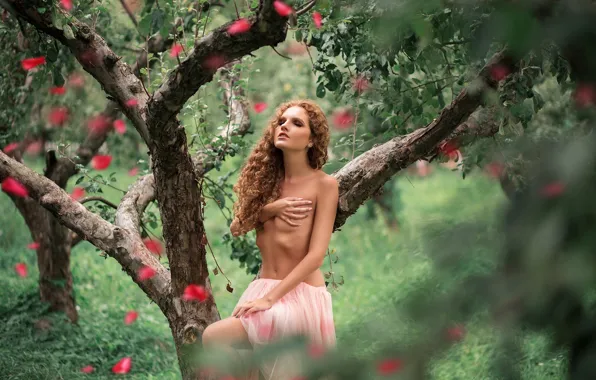 Picture girl, trees, pose, hair, skirt, hands, petals, garden