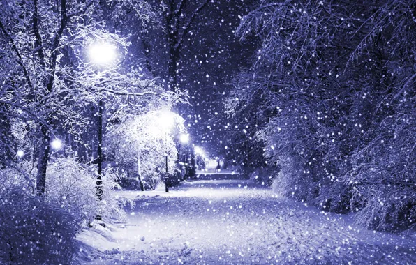 Winter, snow, trees, night, Park, lights