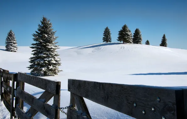 Picture winter, the sky, snow, trees, the fence, ate