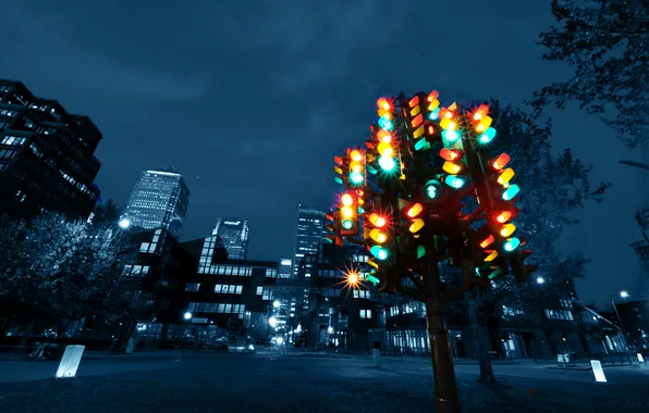 Picture night, yellow, red, the city, green, street, area, traffic light