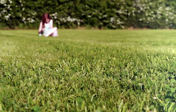 Picture field, grass, girl