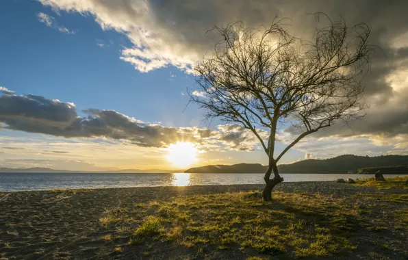 Water, the sun, landscape, nature, dawn, Fleur Walton