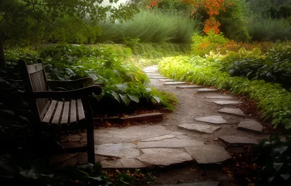 Park, stones, track, the bushes, bench