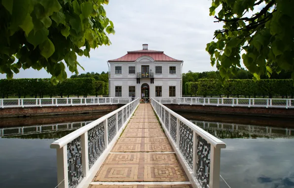 Summer, landscape, nature, pond, Park, the building, Saint Petersburg, house