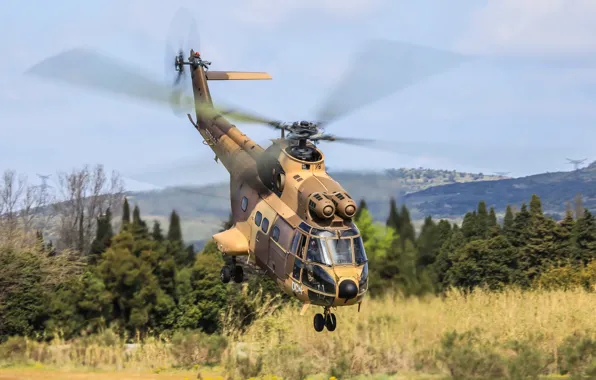 Helicopter, coloring, flies, Puma