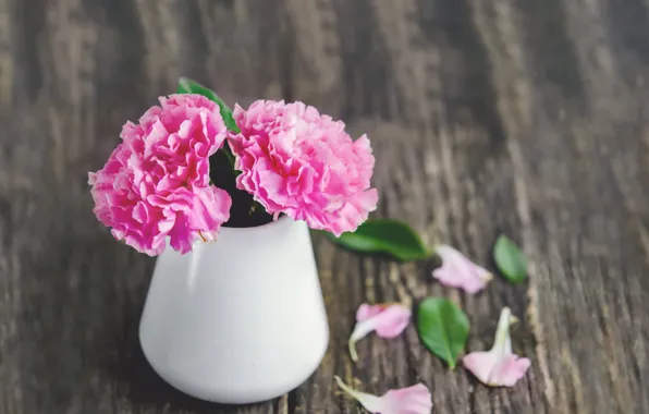 Picture flowers, pink, wood, pink, carnation, flowers