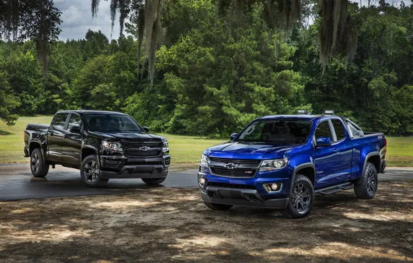 Picture blue, Chevrolet, jeep, Chevrolet, Colorado, pickup, Colorado, Z71