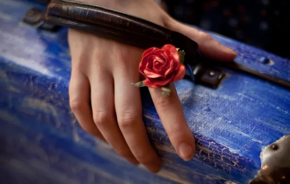 Flower, macro, hand, suitcase