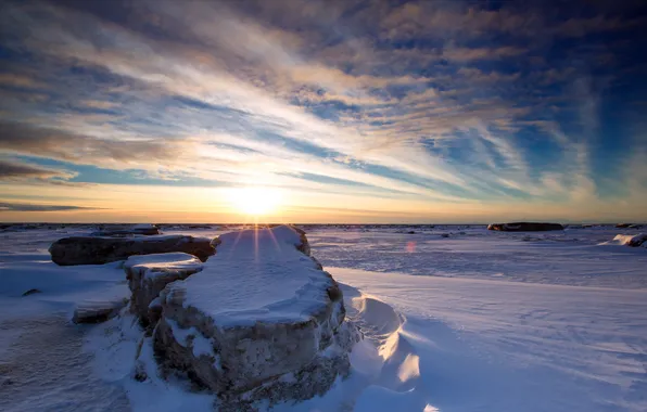 Winter, snow, landscape