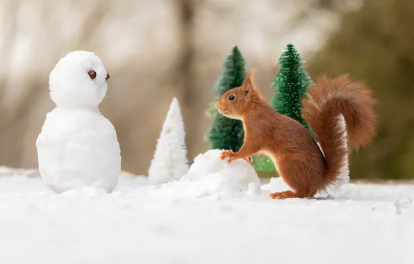 Winter, look, snow, pose, toys, protein, Christmas, the snow