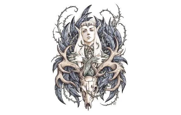 Picture skull, deer, The hobbit, Thranduil, king of the elves, by candra