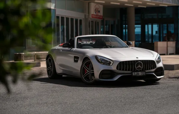 Roadster, Mercedes-Benz, AMG, 2018, GT C