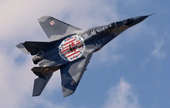 The sky, fighter, pilot, multipurpose, The MiG-29