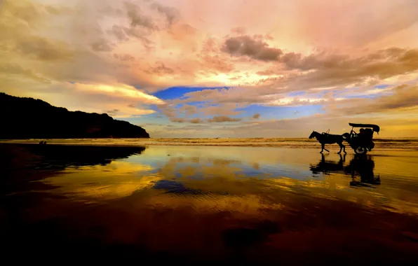 Sea, the sky, clouds, sunset, mountains, reflection, horse, silhouette