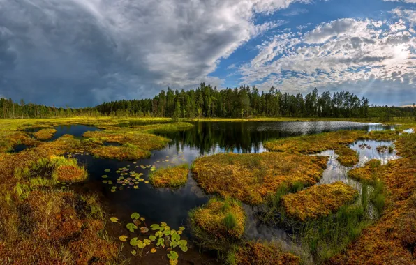 Picture the sky, water, nature