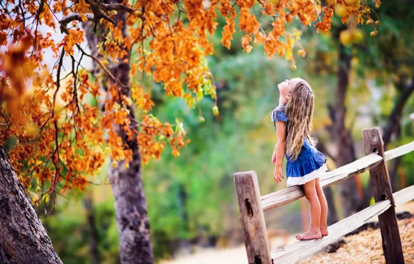 Picture trees, foliage, fence, girl, child