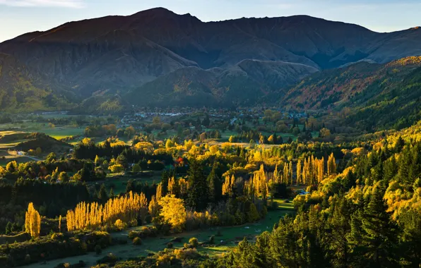 Picture forest, mountains, New Zealand, Arrowtown, Otago, Arrow Junction