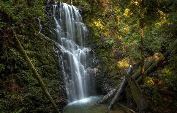 Picture waterfall, California, logs, Berry Creek Falls