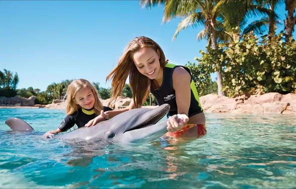 Picture Dolphin, children, smile, girls, Mood, very good