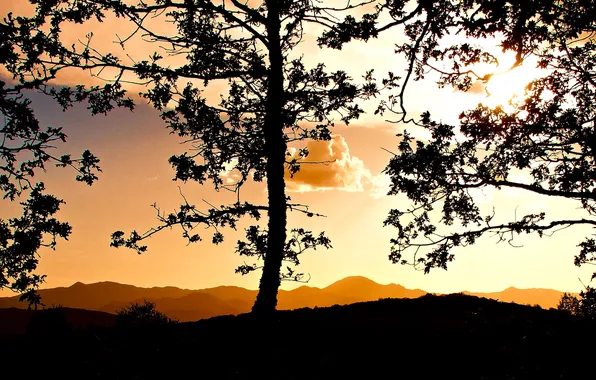 The sky, clouds, trees, mountains, silhouette, glow