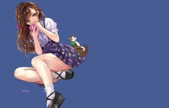 Kitty, shoes, girl, socks, phone, sitting, blue background, white blouse