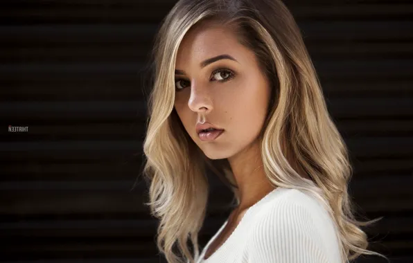 Look, girl, background, portrait, makeup, hairstyle, blonde, in white