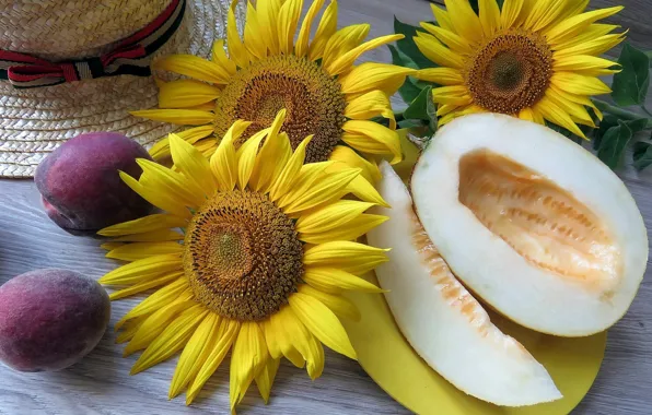 Picture sunflower, hat, wood, melon, drain, naturmort