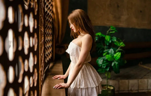 Picture pose, model, plant, portrait, makeup, dress, hairstyle, brown hair