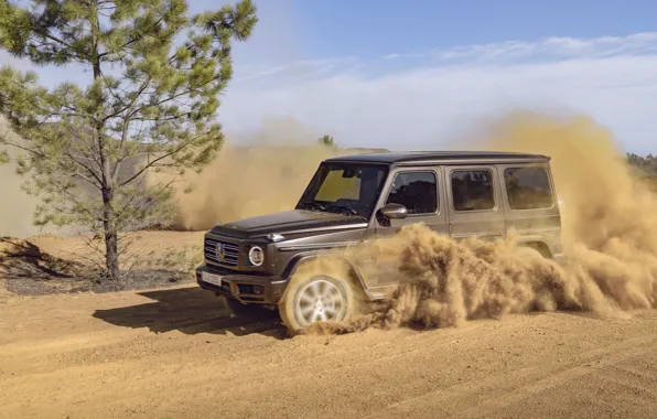 Picture tree, Mercedes-Benz, speed, dust, 2018, G-Class
