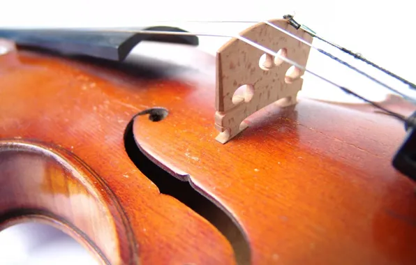 Music, yellow, violin