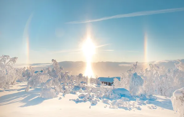 Picture winter, the sun, Sun halo
