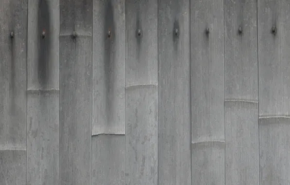 Grey, background, widescreen, Wallpaper, texture, bamboo, wallpaper, widescreen
