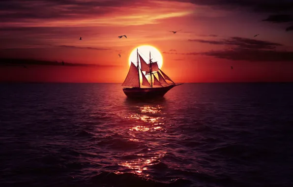 The sky, the sun, sunset, birds, glare, reflection, the ocean, ship