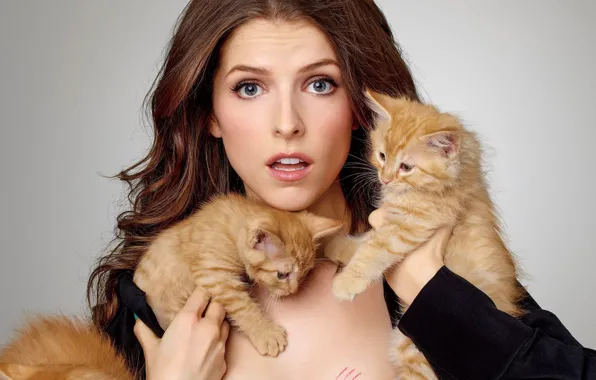 Picture girl, Anna, woman, nothing, model, cats, actress, kittens