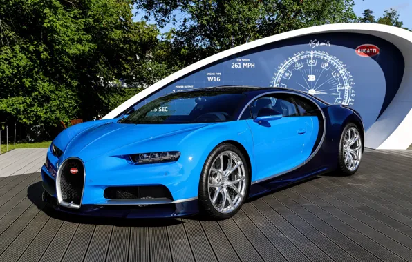 Picture bugatti, blue, podium, chiron