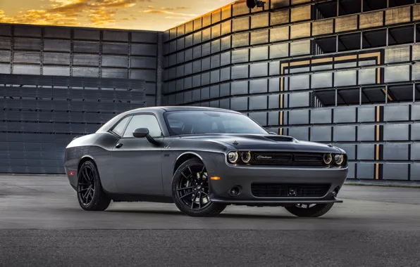 Dodge, Challenger, Dodge, the front, impressive, T/A 392