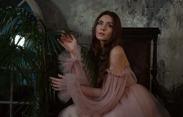 Look, girl, Palma, plant, dress, window, brown hair, shoulder