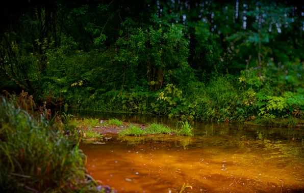 Summer, Pervouralsk, Gagarino