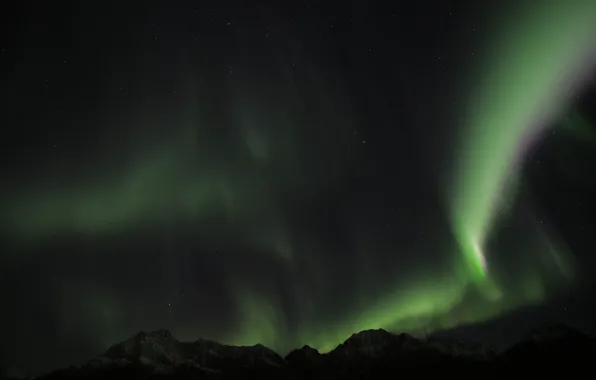 Green, sky, night, norway, aurora borealis, northenlights