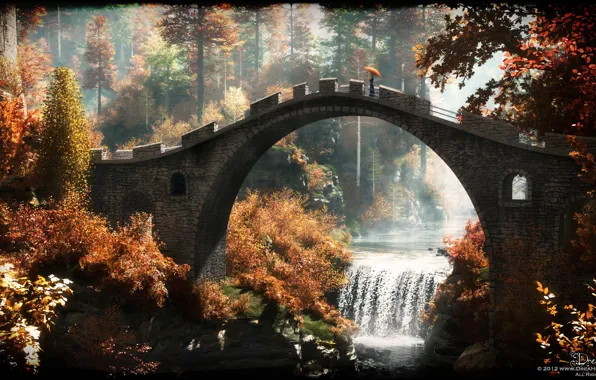 Picture trees, bridge, river, umbrella, woman, waterfall, after the rain