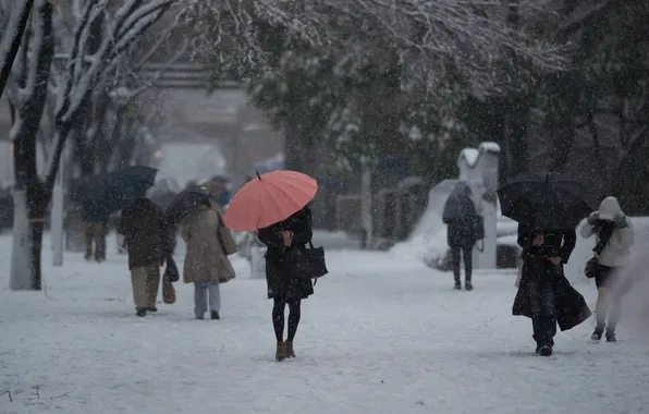 Snow, street, umbrellas, passers-by, Benjamin Torode