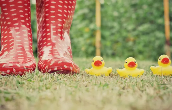 Grass, boots, yellow, red, ducks, rubber