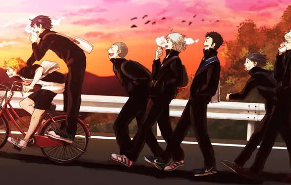 Anime, art, team, guys, volleyball, Haikyuu