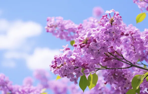 Flowers, nature, spring, lilac, inflorescence, AI art, neural network